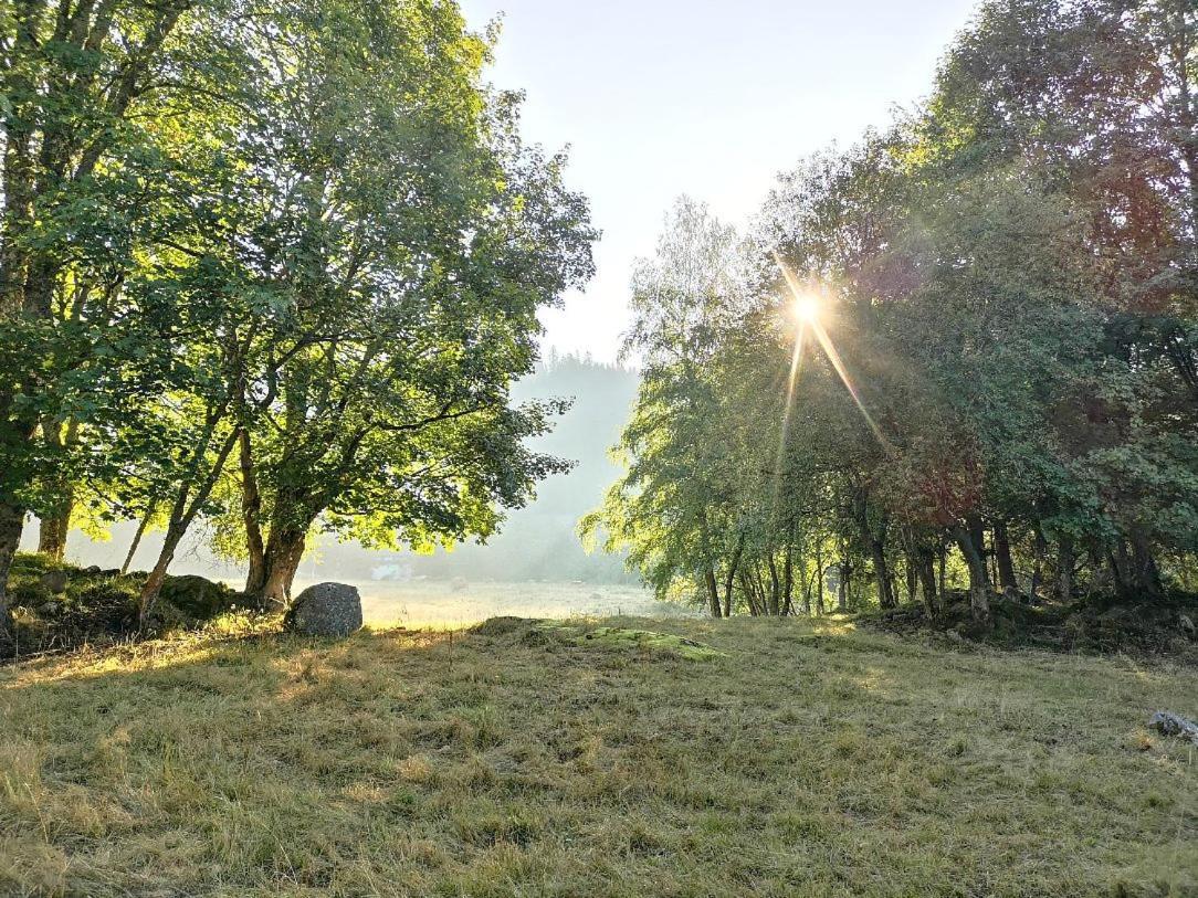 C2 Albmatte-Fewo , Hallenbad Aussenbecken Massagen Nebenan St. Blasien Exterior foto