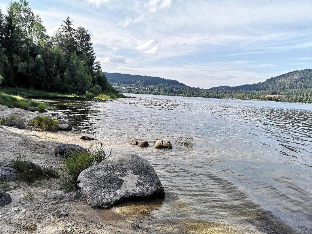 C2 Albmatte-Fewo , Hallenbad Aussenbecken Massagen Nebenan St. Blasien Exterior foto