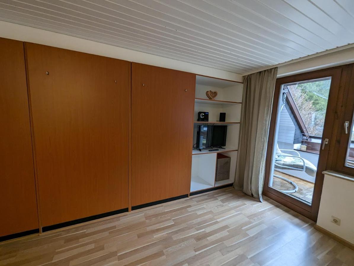 C2 Albmatte-Fewo , Hallenbad Aussenbecken Massagen Nebenan St. Blasien Exterior foto