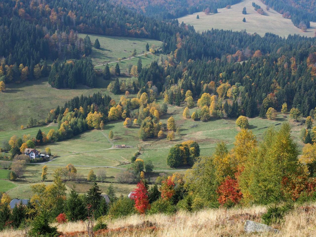 C2 Albmatte-Fewo , Hallenbad Aussenbecken Massagen Nebenan St. Blasien Exterior foto