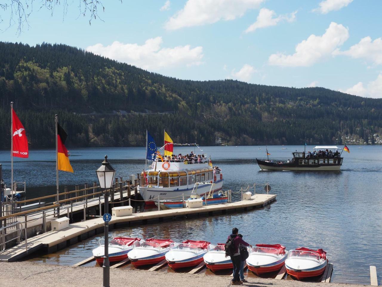 C2 Albmatte-Fewo , Hallenbad Aussenbecken Massagen Nebenan St. Blasien Exterior foto
